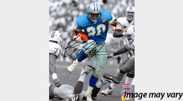 Barry Sanders Autographed Detroit Lions (Spotlight) Deluxe Framed 16x2 –  Palm Beach Autographs LLC