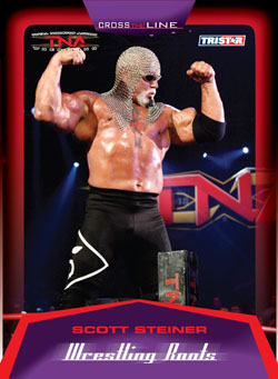 Scott Steiner